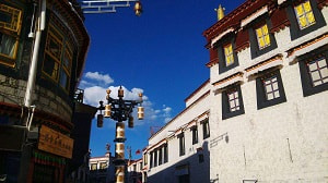 冬天去西藏旅游看什么？
