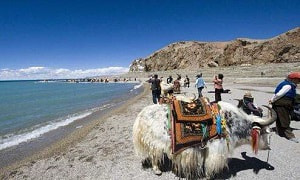 西藏跟團旅行保險攻略
