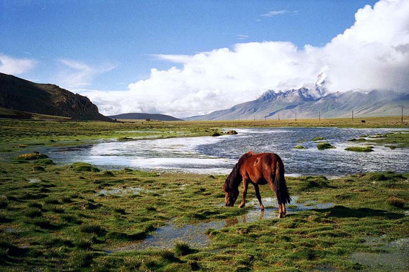 西藏亚东美景