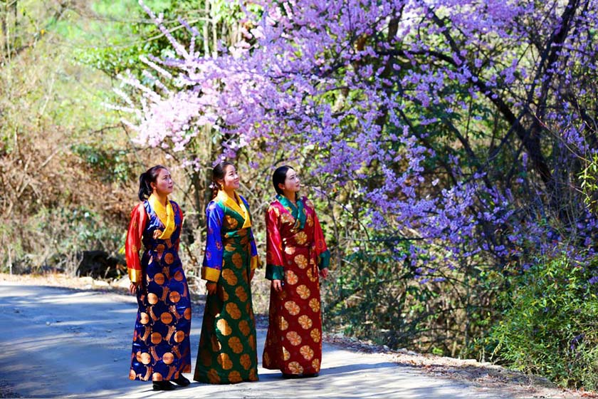 桃花节之波密