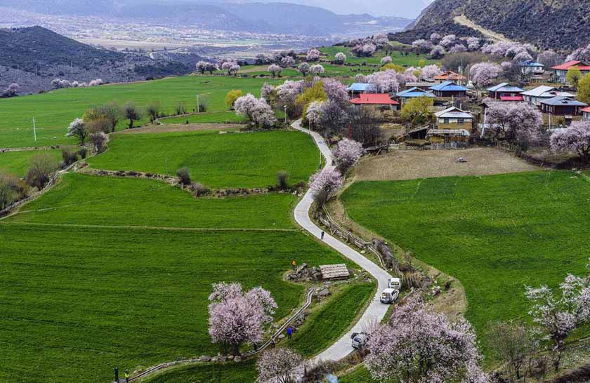 林芝包车旅游