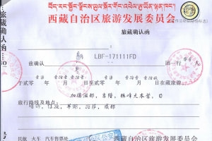 2020年入藏函外國人-入藏證在綫申請 審批快 100%過關