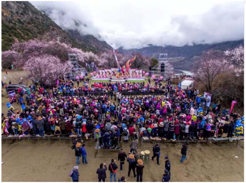 桃花节活动