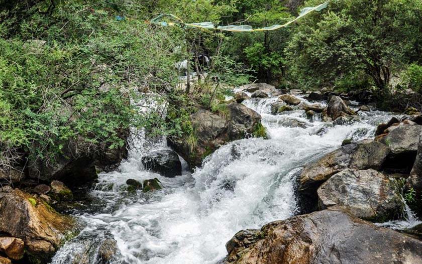 达沽峡谷溪水