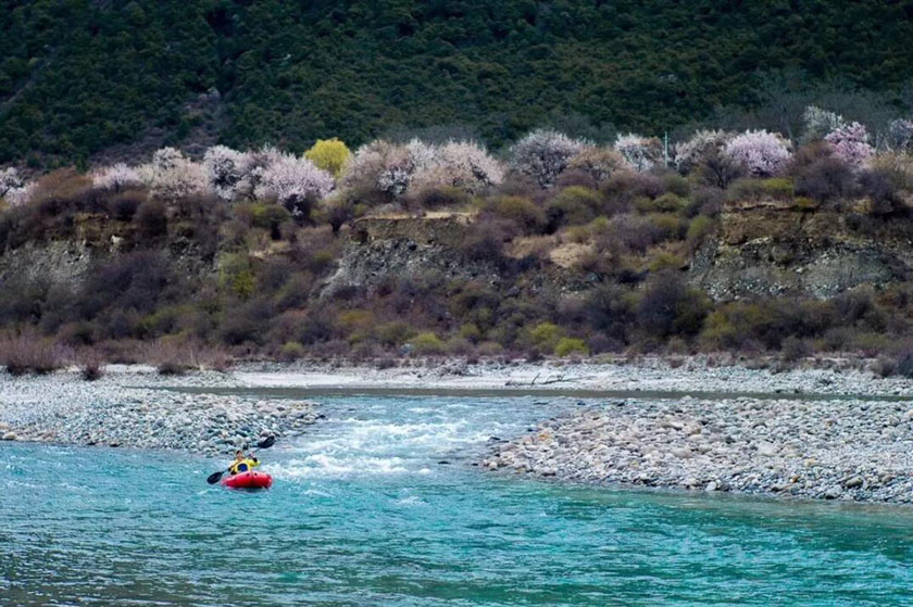 林芝漂流