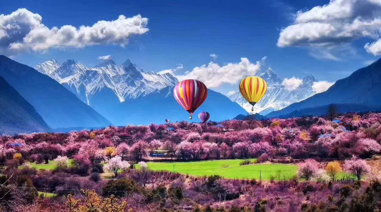 8天純玩丨拉薩+林芝+納木錯+羊湖+江景房+熱氣球