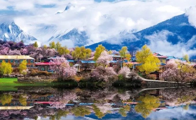 2020，帶上這份林芝桃花節最全旅遊攻略