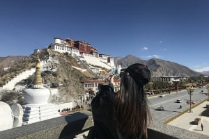2020年冬遊西藏，免費繼續、優惠繼續……