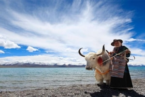 暑假探秘西藏：解決你關心的關鍵問題！