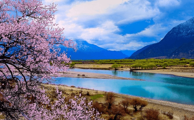 林芝桃花節遊覽指南