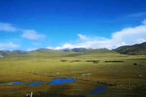 藏北野生動物樂園——羌塘草原