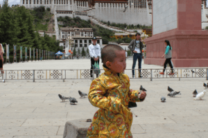 小朋友滿幾歲能去西藏旅遊？|西藏旅遊問答