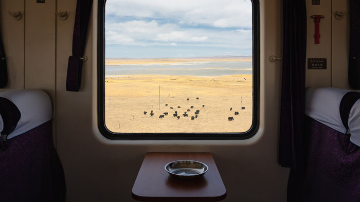 搭乘火車進藏：獨家小貼士，讓妳的西藏之旅更美好！🚂🏔️