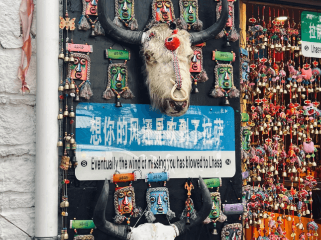 西藏旅遊-拉薩遊玩攻略及注意事項