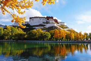 西藏旅游辦證指南、精選行程、交通攻略 🏔️✈️