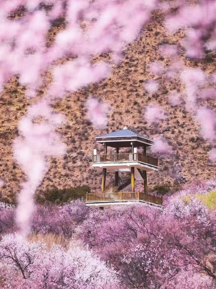 2025年最新西藏林芝旅遊指南