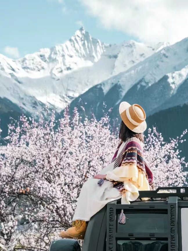 西藏三四月份林芝桃花節旅遊攻略