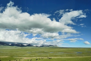 西藏旅遊如何選擇旅行團不會被坑