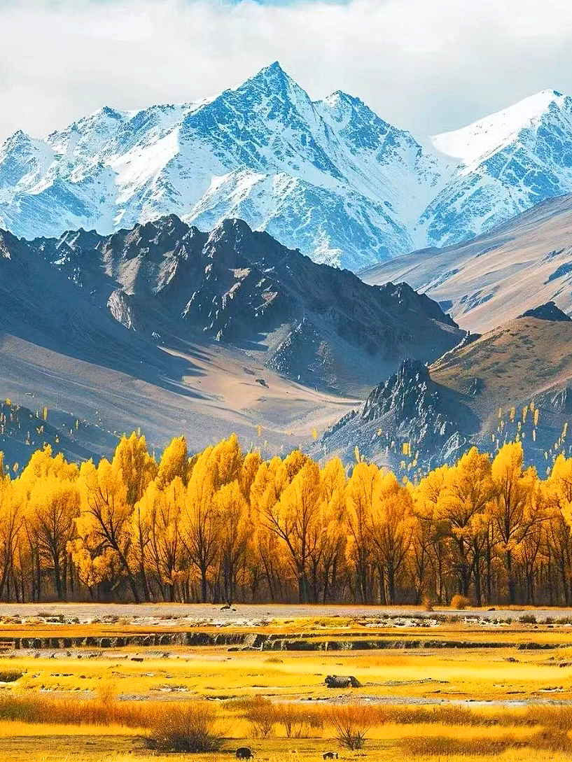 【西藏旅遊攻略】第一次去林芝怎麽玩