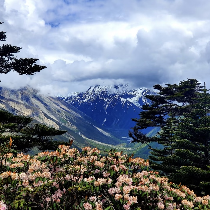 滇藏線旅遊攻略：從雲南到西藏的絕美之旅