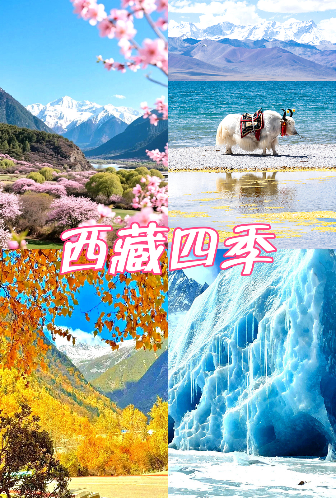 西藏的天氣
