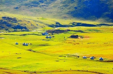 阿勒泰夏天有什麼值得期待？探索新疆北部最美的夏季風景