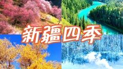 新疆平均氣温