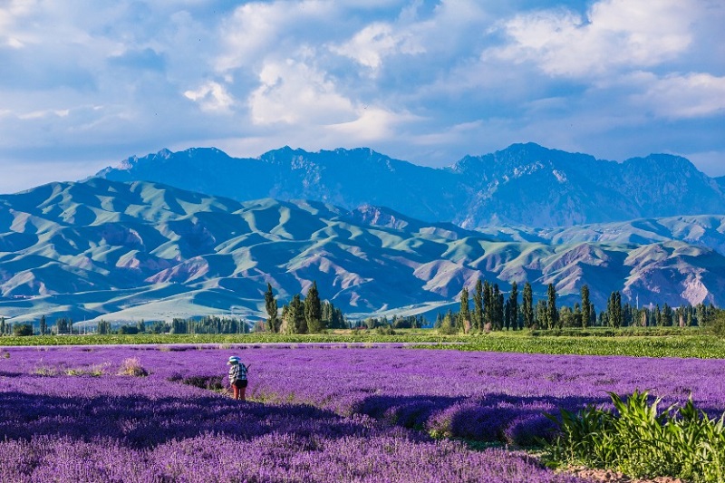 北疆·沙漠草原獨庫公路9天