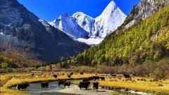 川西尋美之旅5天：康定，新都橋，稻城，亞丁，四姑娘山