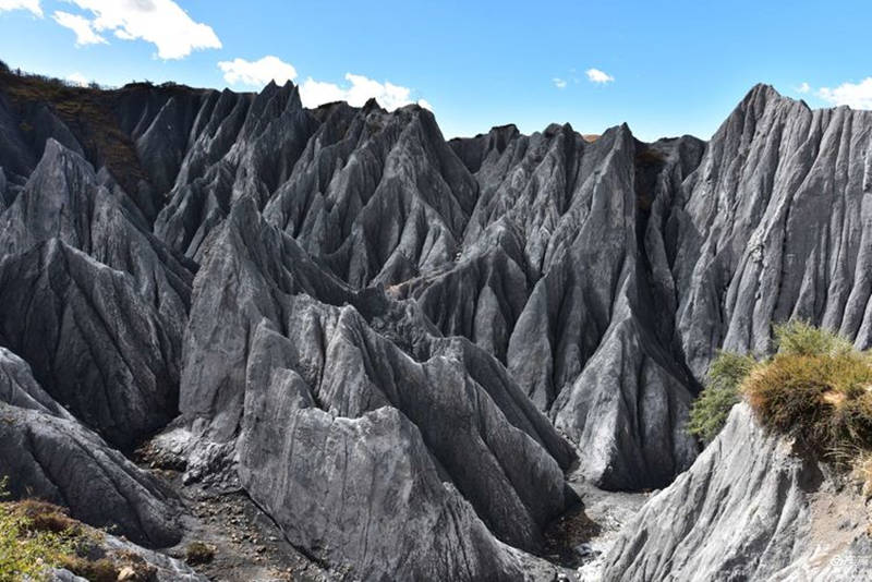 【四稻傳奇】5日遊 |魚子西·塔公草原·墨石公園·四姑娘山