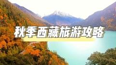 秋季西藏攻略：邂逅雪域高原的黃金季節