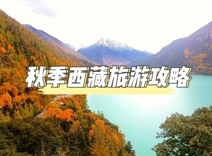 秋季西藏攻略：邂逅雪域高原的黃金季節