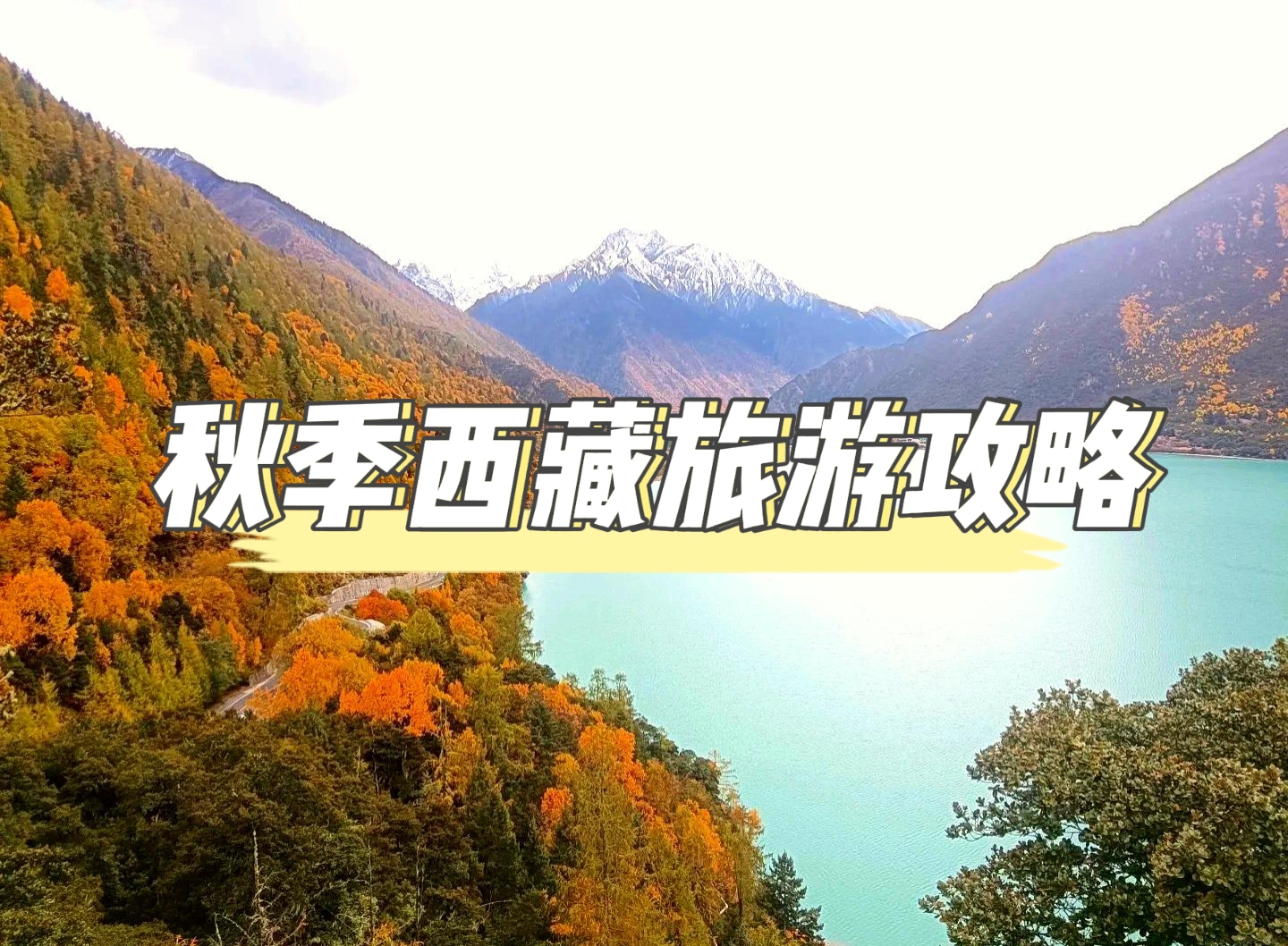 秋季西藏攻略：邂逅雪域高原的黃金季節