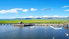 2026年海外遊客入疆必備清單