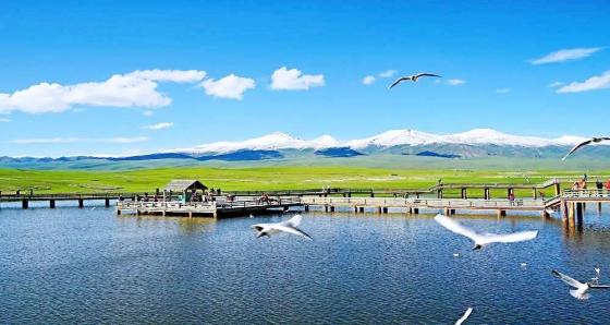 2026年海外遊客入疆必備清單