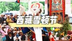 西藏雪頓節：酸嬭、藏戲與信仰的盛大交融