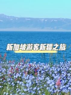 新加坡遊客新疆之旅