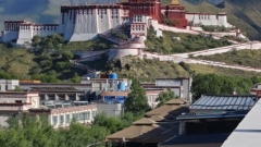 西藏酒吧咖啡館圖鑑