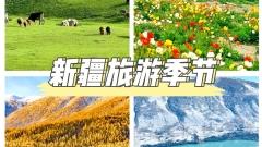 新疆旅遊季節：四季風情，總有一季觸動你