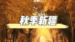 秋季的新疆