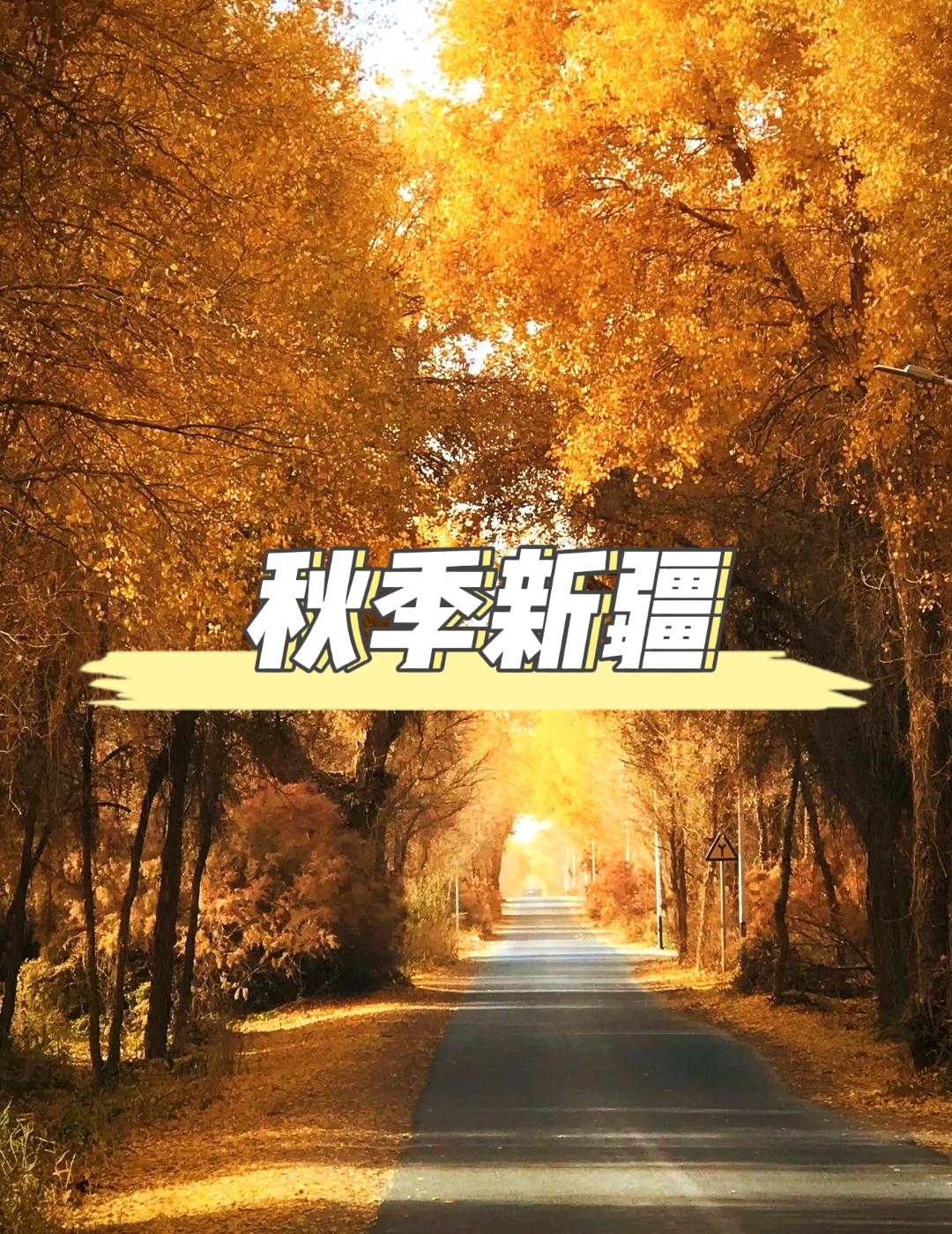 秋季的新疆