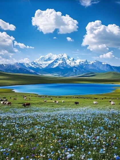北疆風景