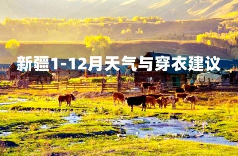 新疆氣溫與穿衣指南：全年12個月詳細攻略