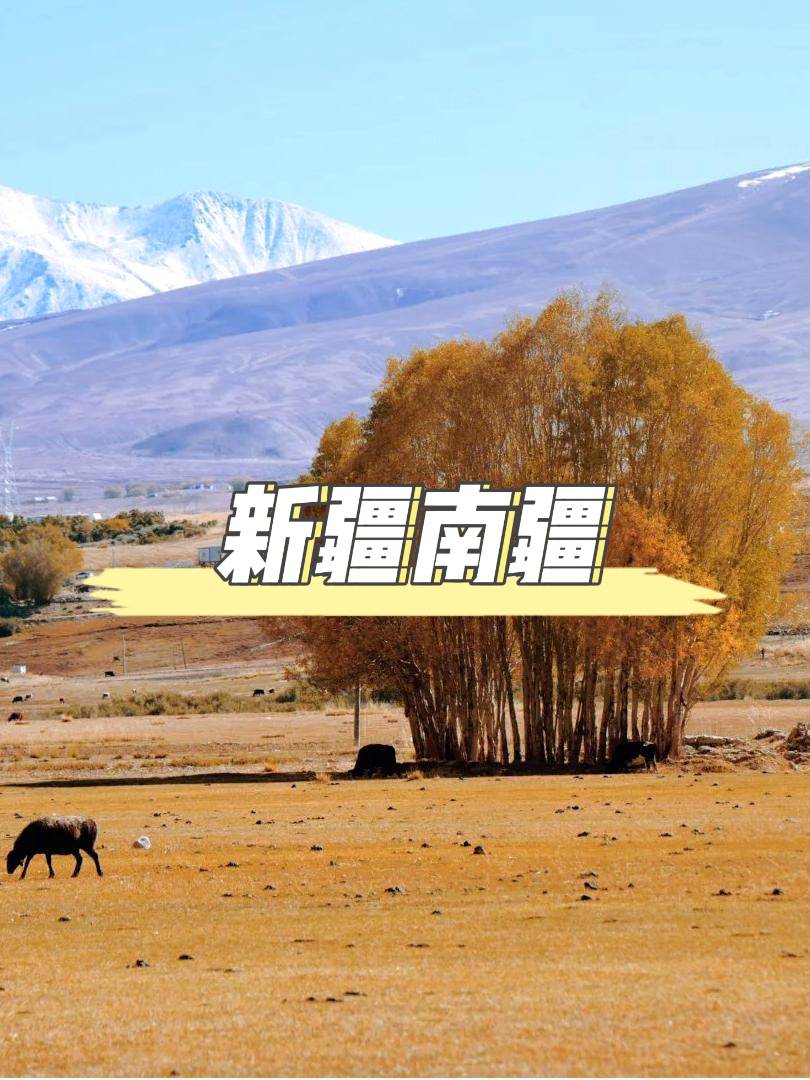 南疆之旅實用旅遊攻略