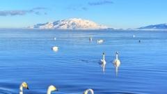 2026北疆深度旅遊全攻略：解鎖喀納斯、伊犁與賽里木湖的自然精髓