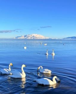 2026北疆深度旅遊全攻略：解鎖喀納斯、伊犁與賽里木湖的自然精髓