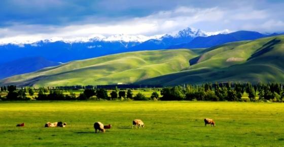 新疆六月天氣旅遊全攻略：氣候解析、景點與穿搭指南