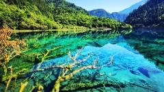 九寨溝開放時間與景區全攻略｜門票資訊、必遊景點與最佳行程規劃