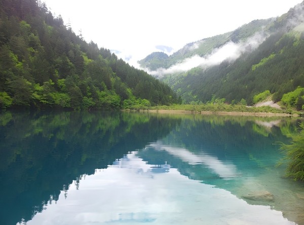 夏季的九寨溝
