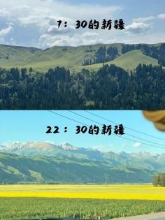 新疆自由行ptt指南：探索西域之美